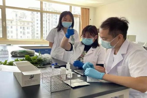 推廣應(yīng)用快速檢測(cè)技術(shù)，筑牢農(nóng)產(chǎn)品質(zhì)量安全“最初一公里”防線